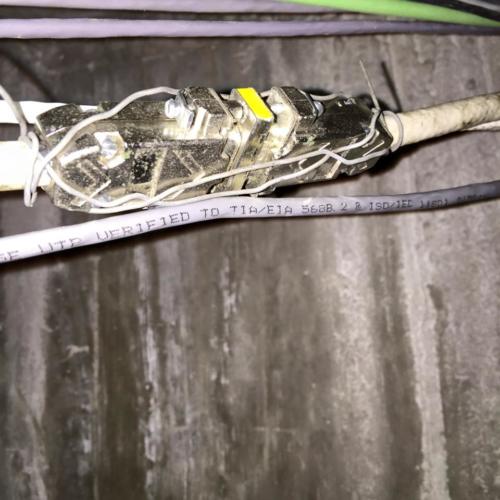 11060319_863447477045579_4378810689496740158_n