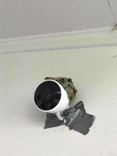 20046580_1489067231150264_4418348654514243555_n