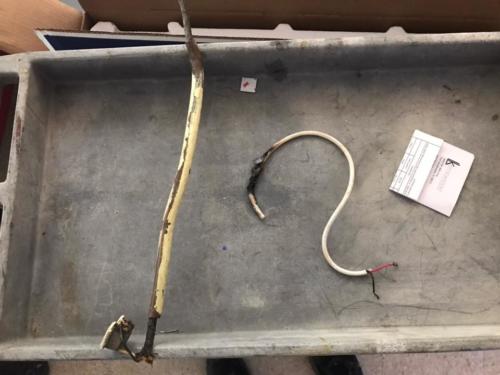 28468508_1804382689618715_4085579777532606866_n