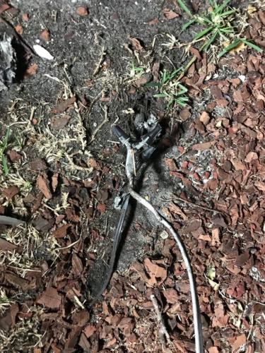 47098228_2173067356083578_1094271260868739072_o