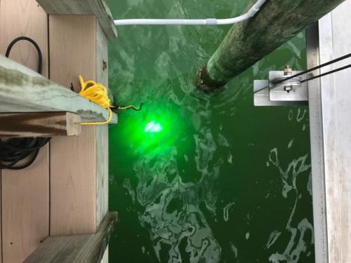 51646038_2282092638514382_8725197384327364608_o