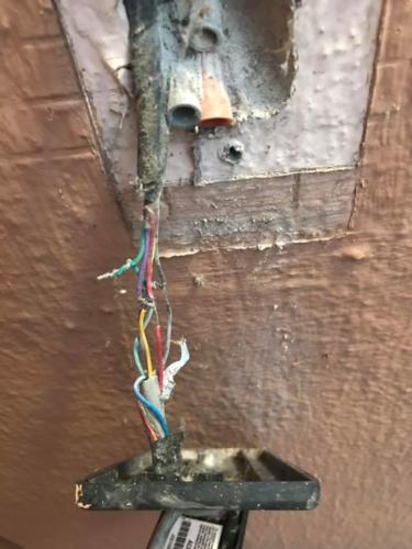 53533148_2316759298381049_1553335919723937792_o